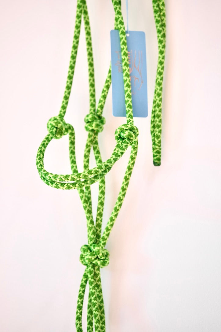 Standard Rope Halter