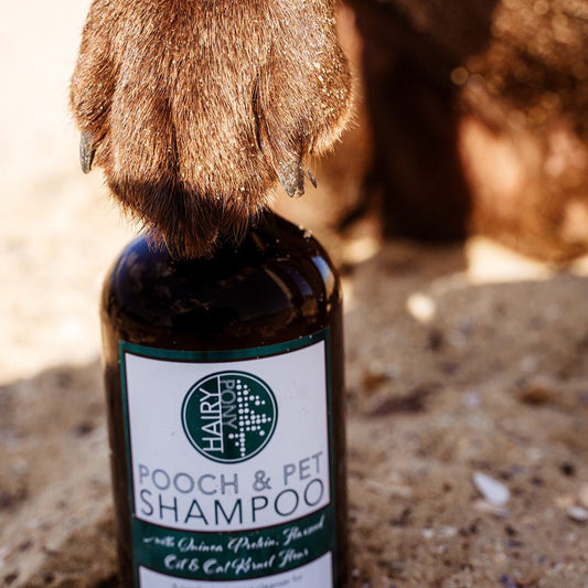 Pooch and Pet Dog Shampoo