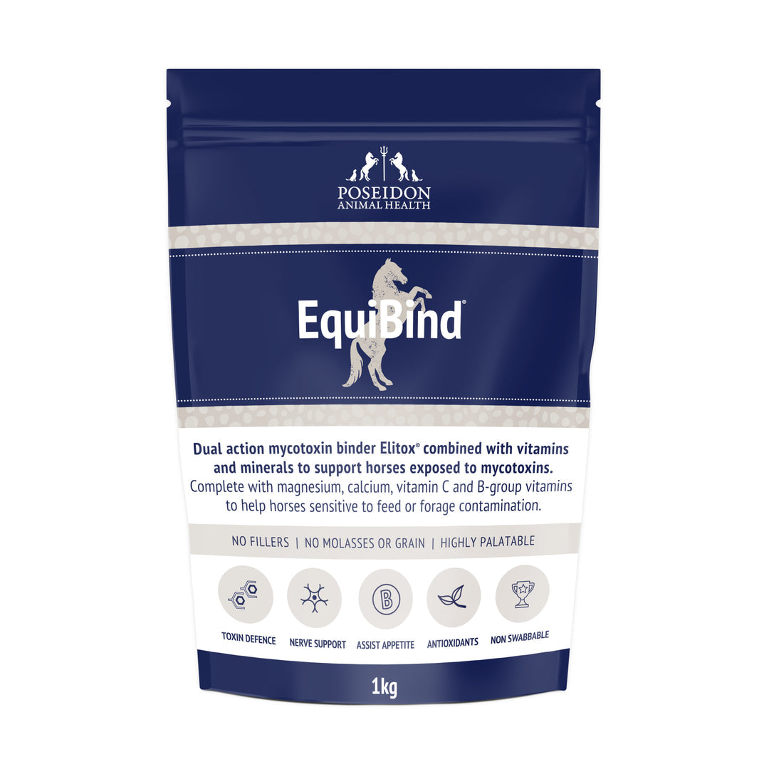 Equibind
