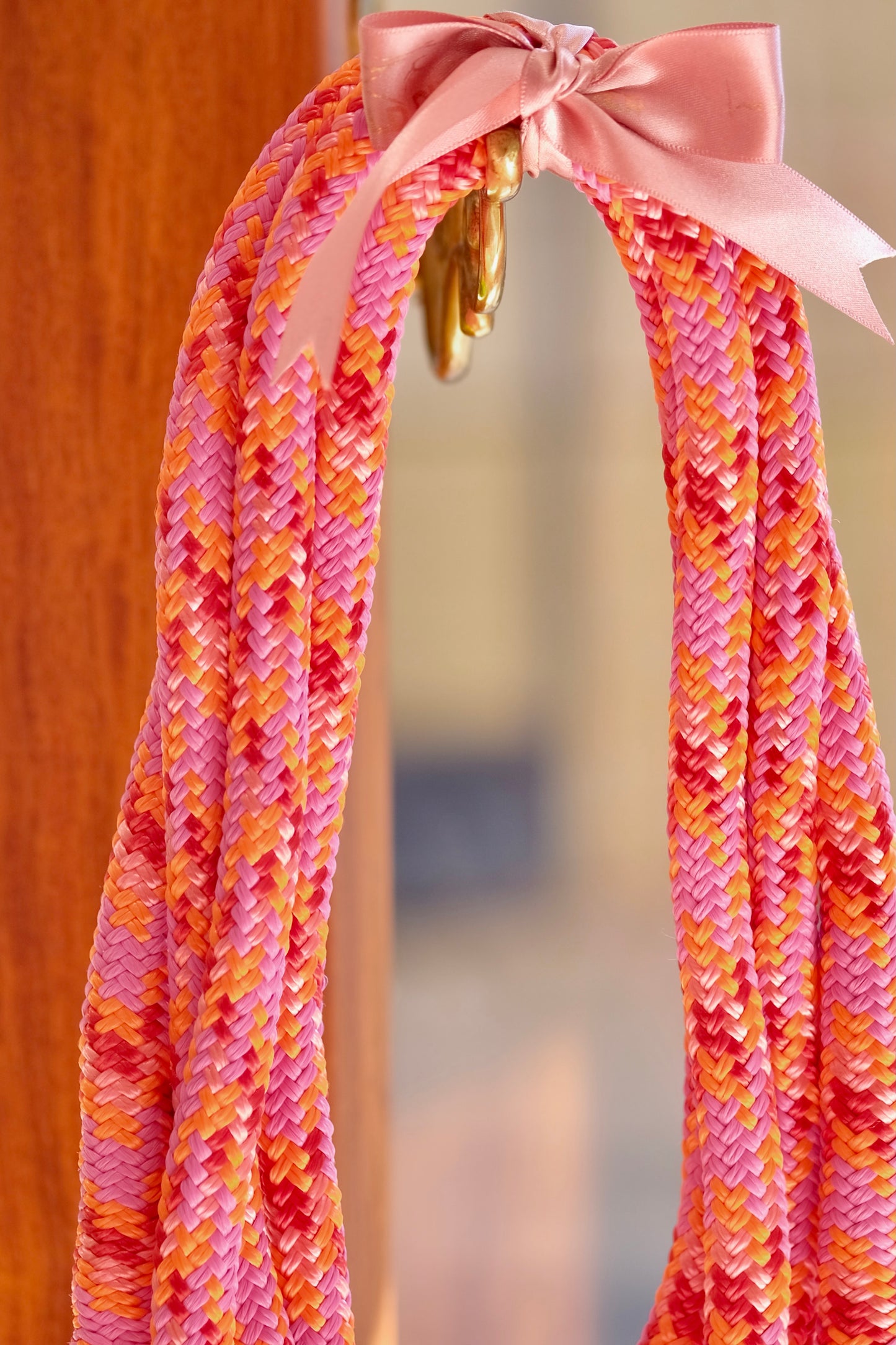 Clip-On Loop Reins