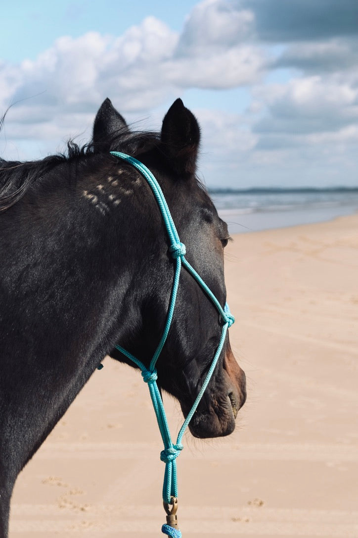 Overlay Halter - "LAGOON X OASIS"