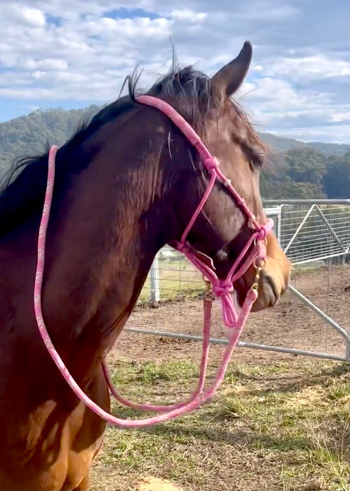 Justin Bitless Riding Rope Halter - with overlay