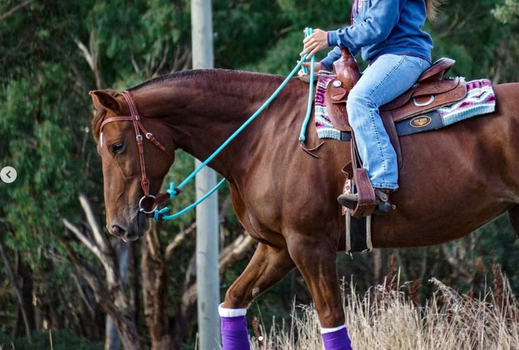 Tie-On Split Reins
