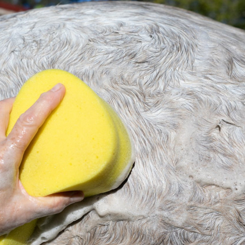 Natural Horse Shampoo