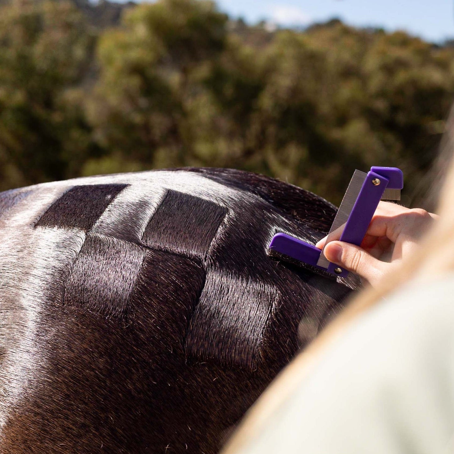 Quarter Mark Horse Comb