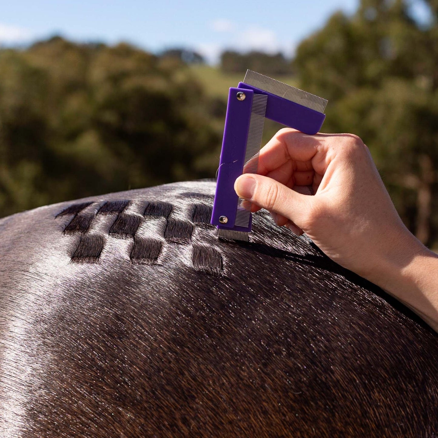 Quarter Mark Horse Comb
