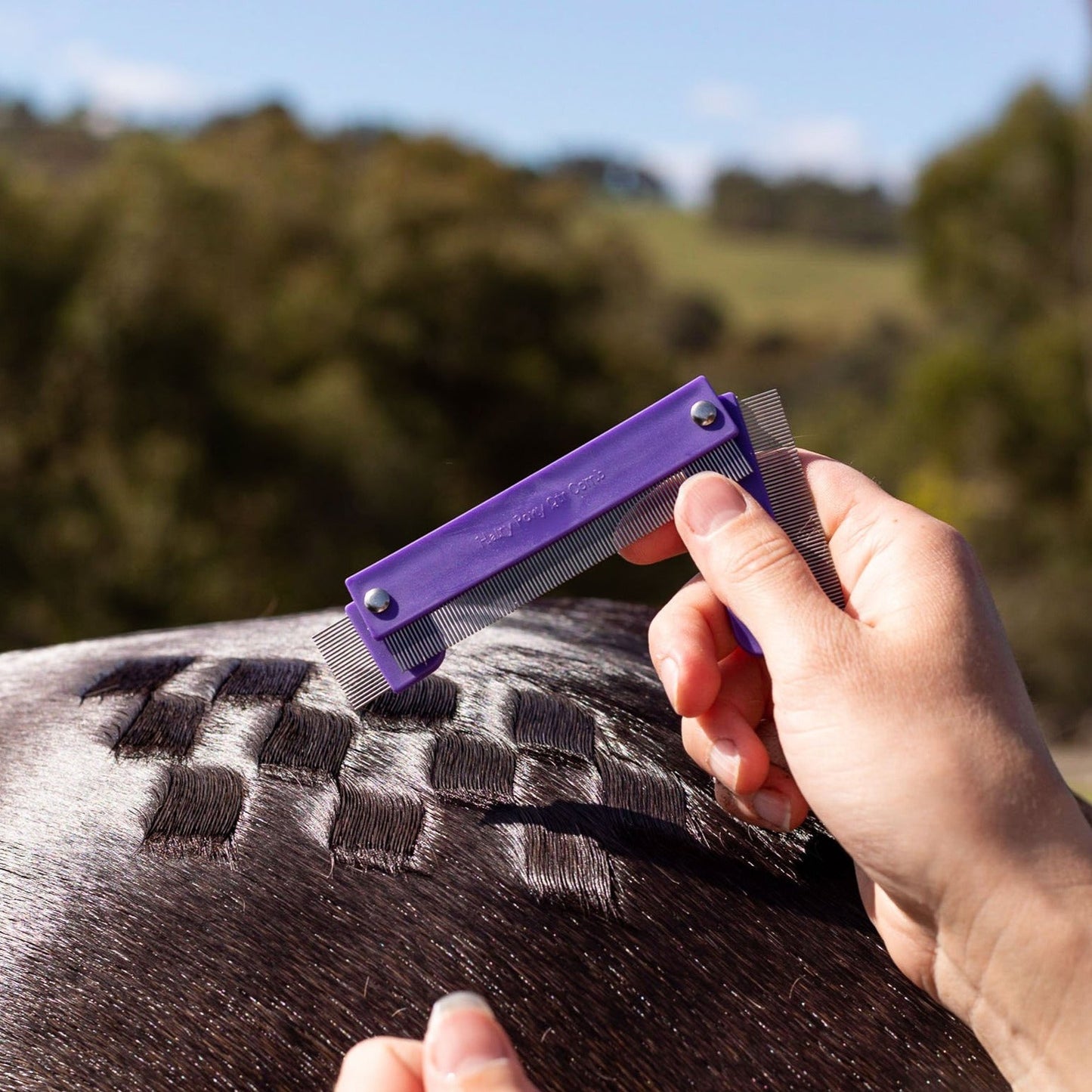 Quarter Mark Horse Comb