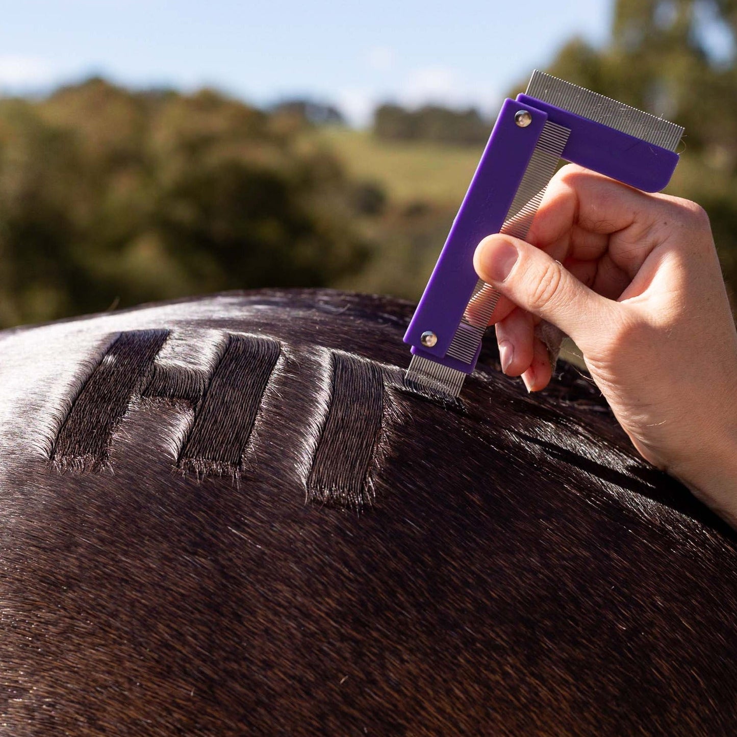 Quarter Mark Horse Comb