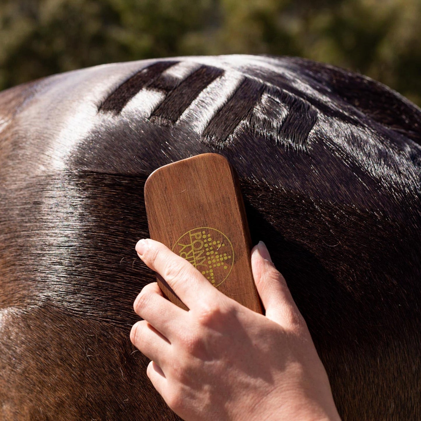 Quarter Mark Horse Brush