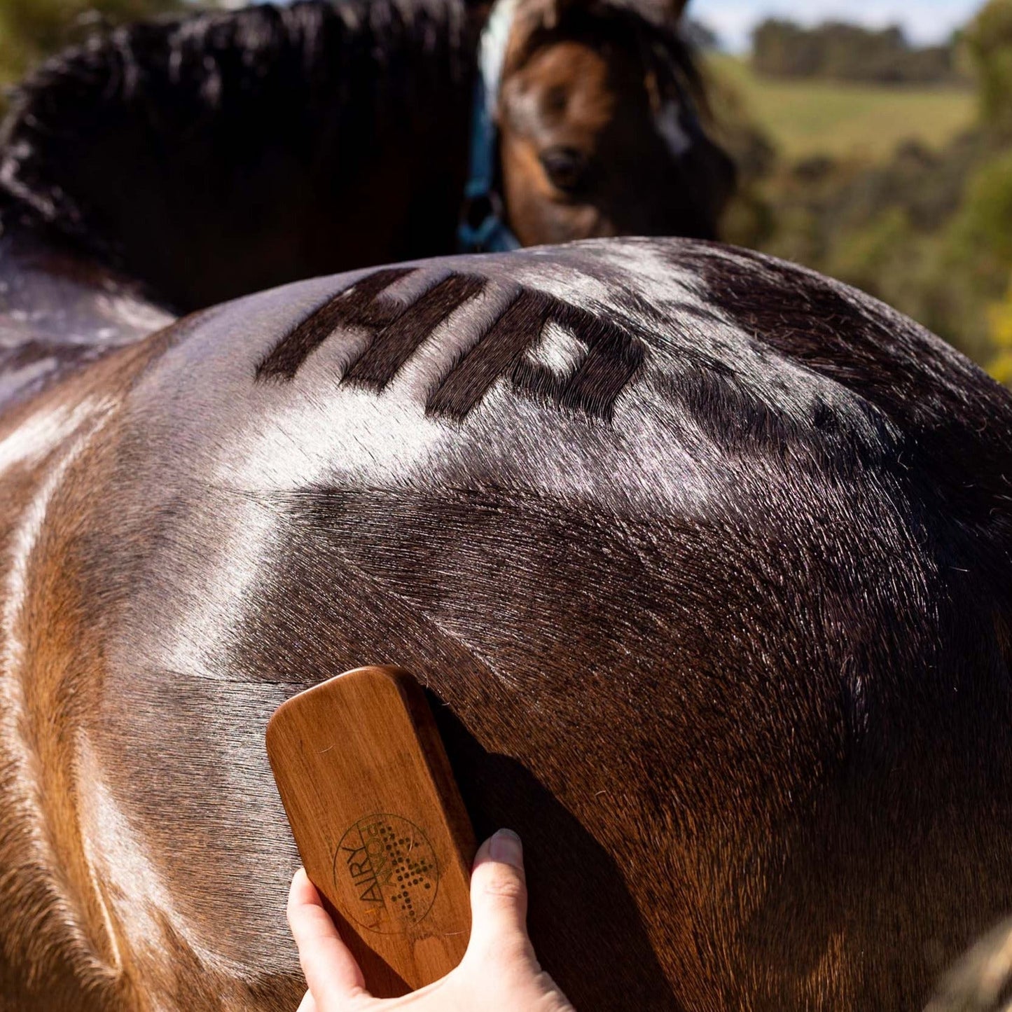 Quarter Mark Horse Brush