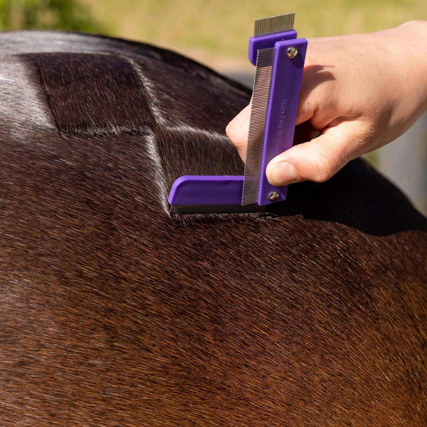 Quarter Mark Horse Comb