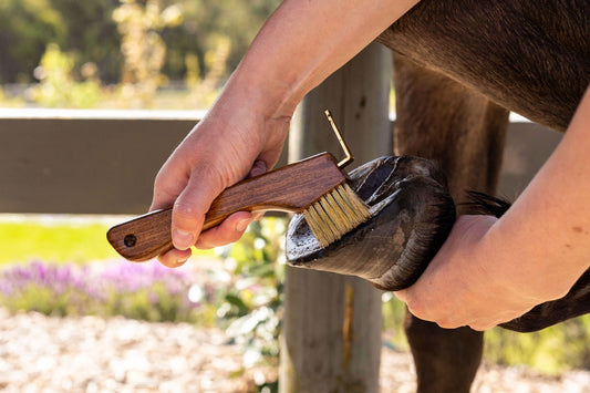 Copper Bristle Wooden Hoof Pick