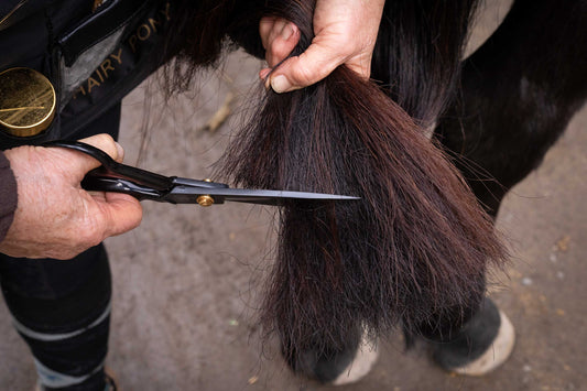 Tail Trimming Scissors