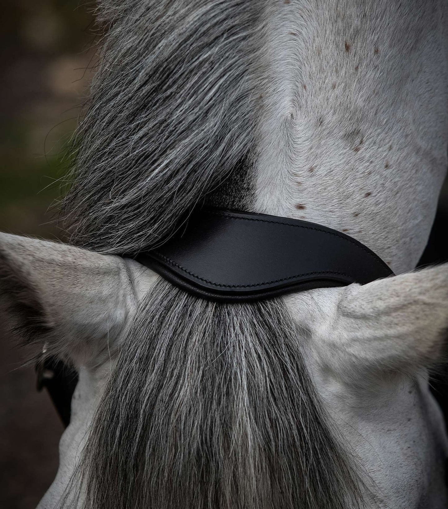 Hennaroso Rolled Anatomic Leather Head Collar
