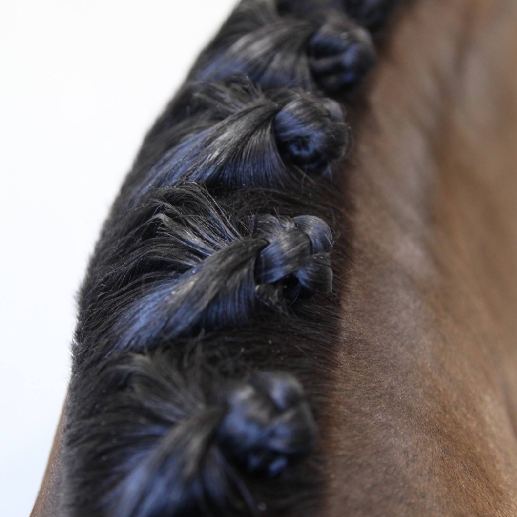 Plaiting Taming Wax