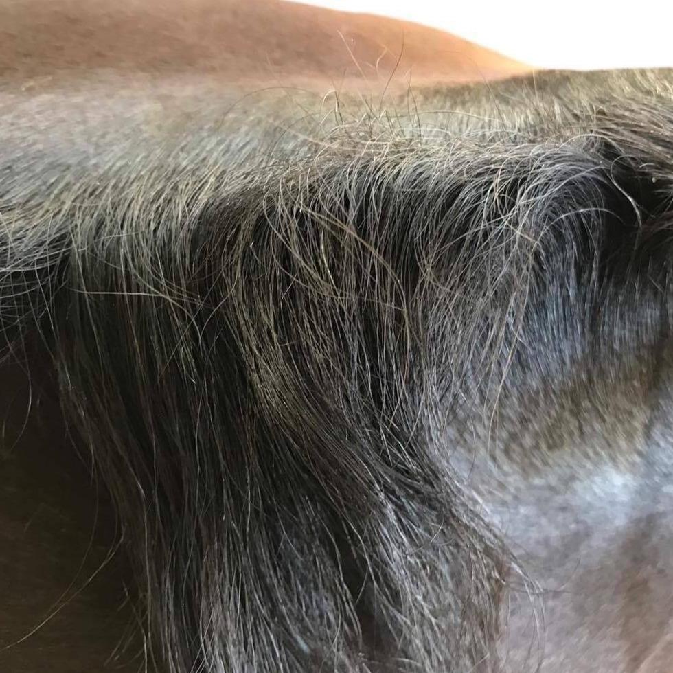 Plaiting Taming Wax
