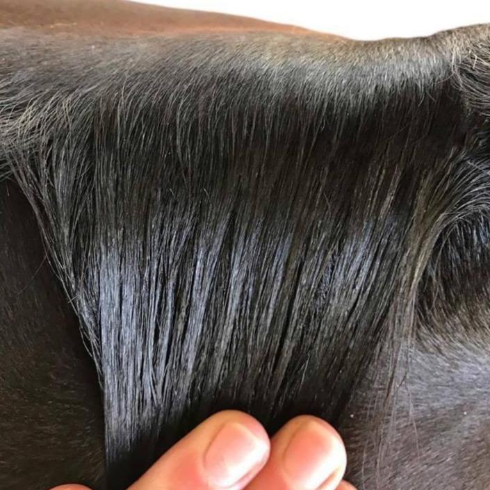 Plaiting Taming Wax