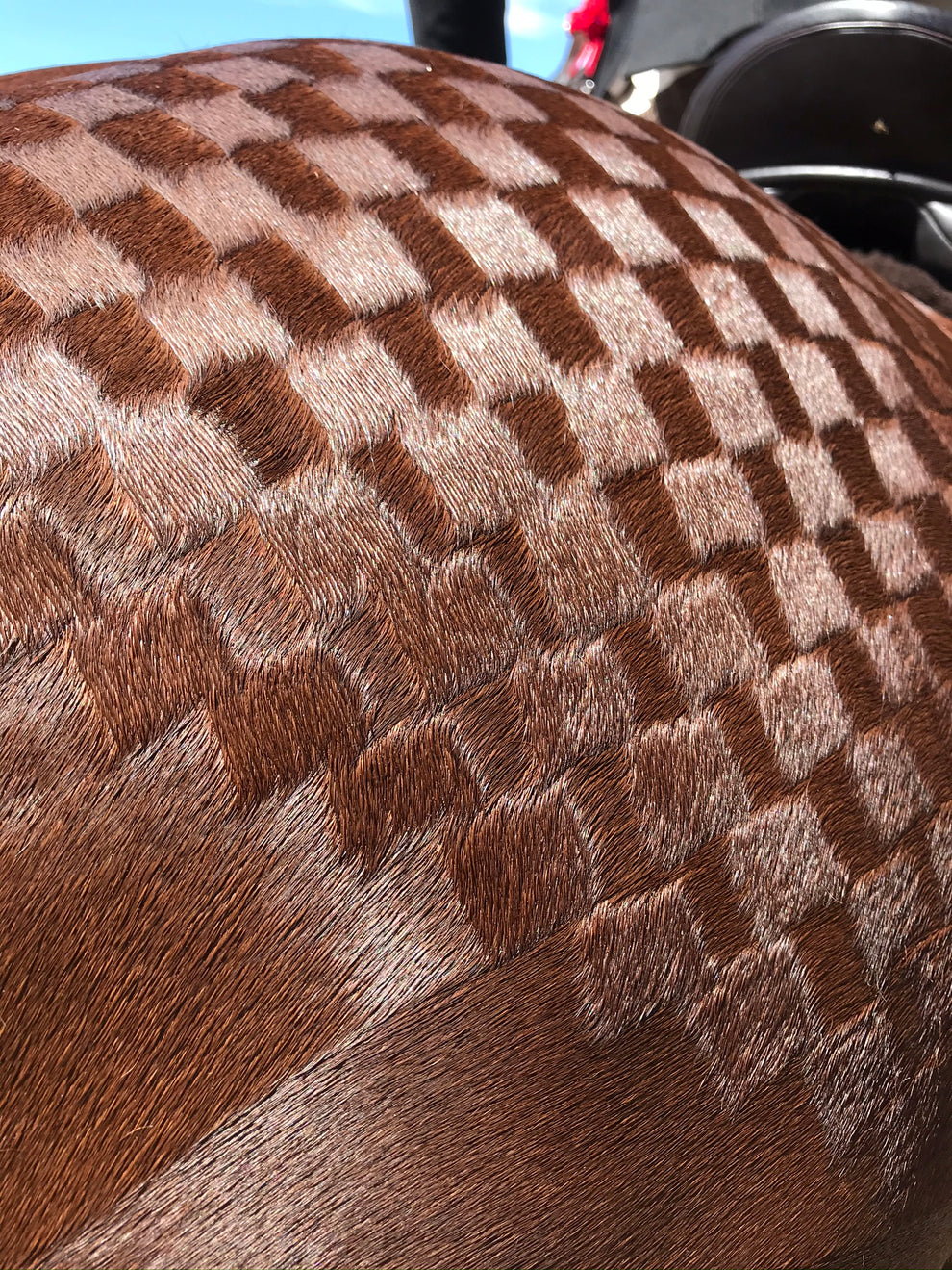Horse Quarter Mark Kit
