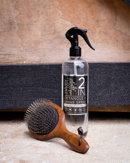 2 in 1 Detangle & Shine Spray - Original