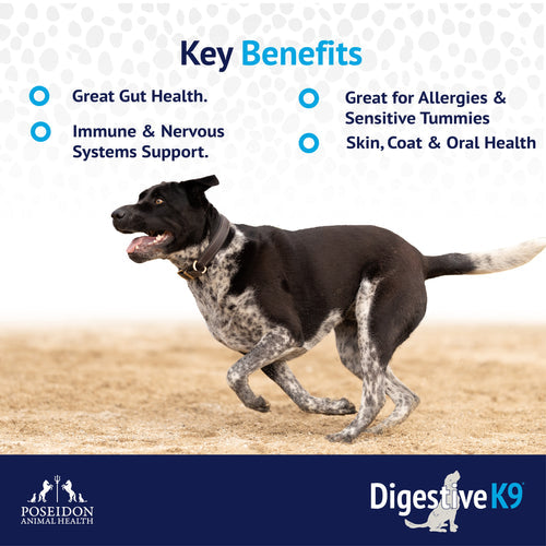 Digestive K9 - Chews
