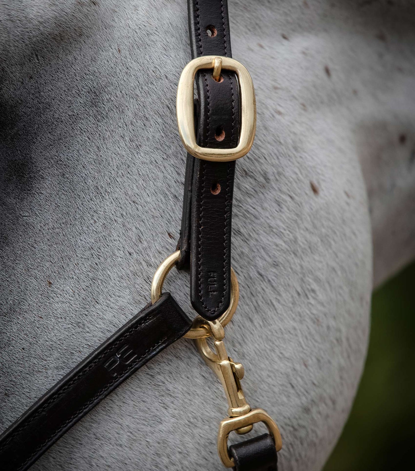 Padded Leather Head Collar