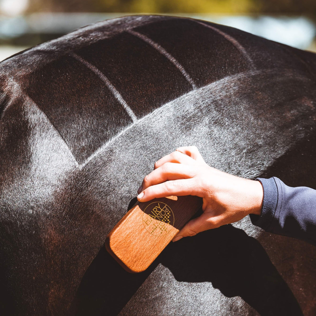 Quarter Mark Horse Brush
