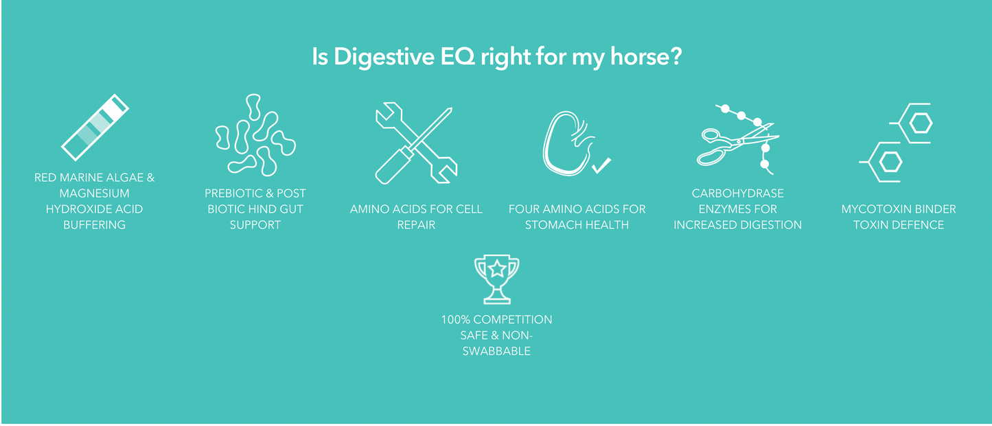 Digestive EQ