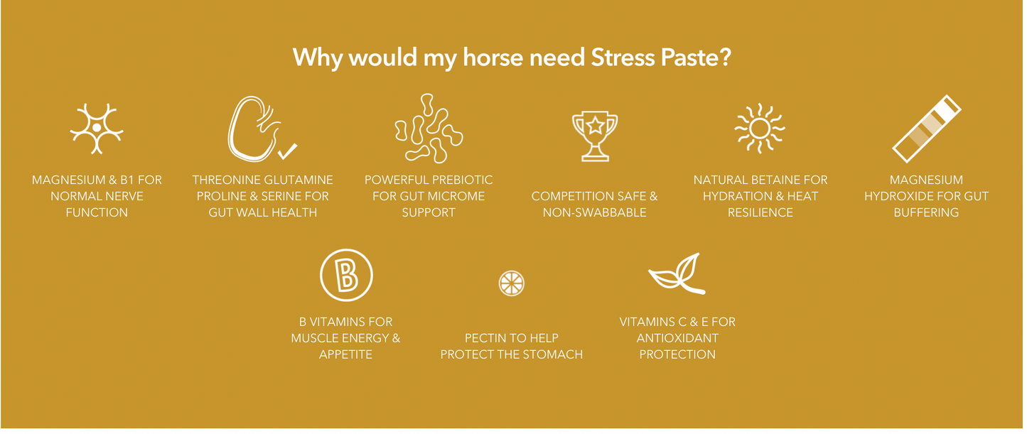 Stress Paste