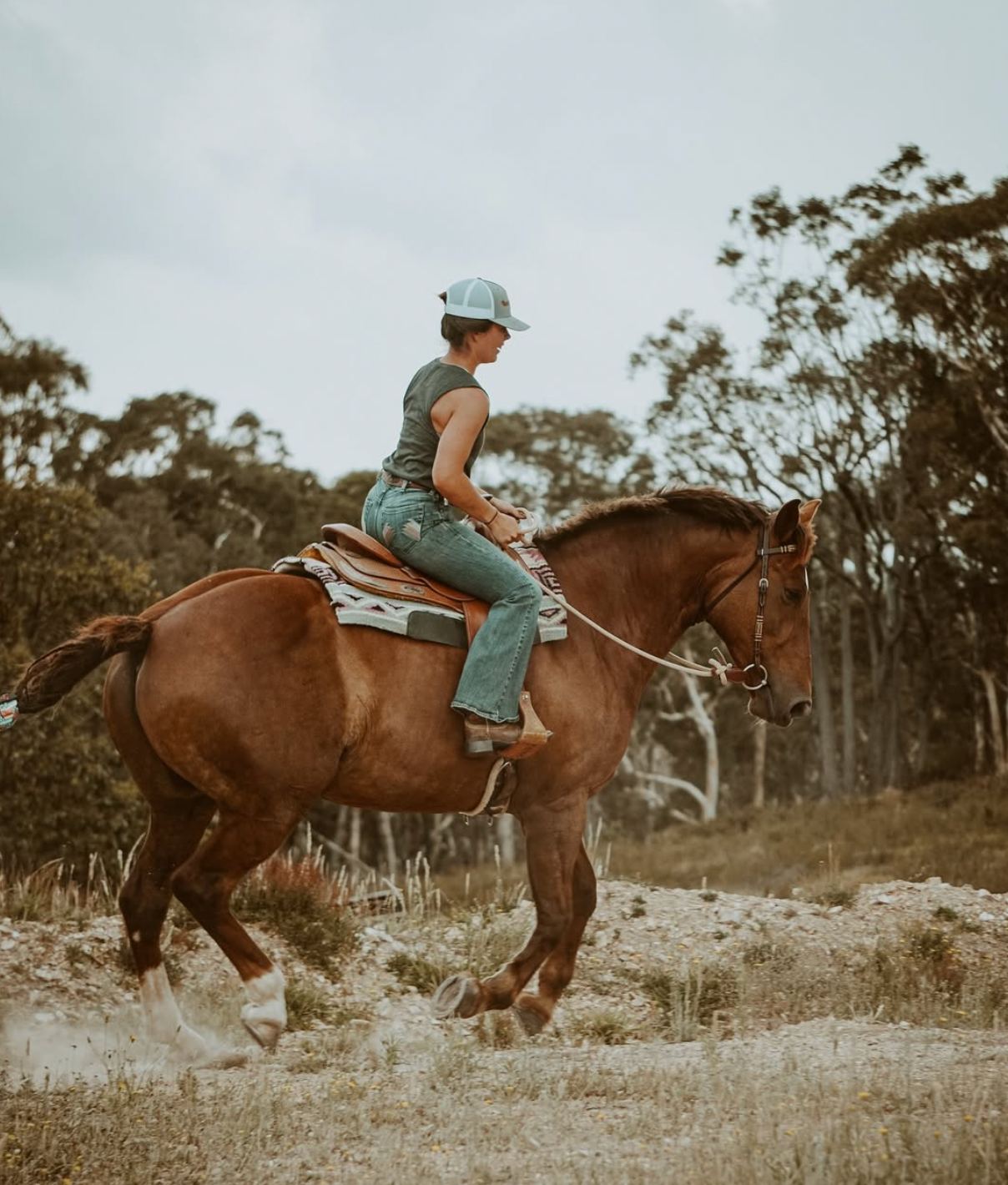 Tie-On Split Reins