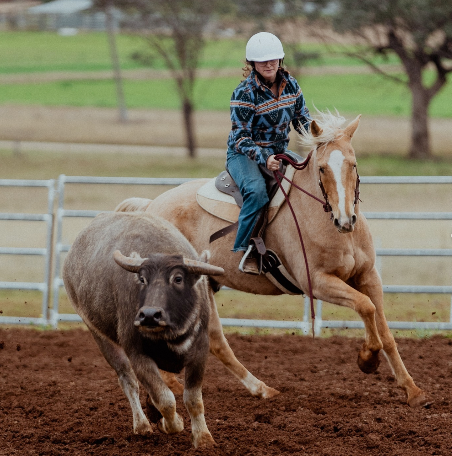 Tie-On Split Reins