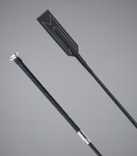 Volterra Jumping Whip