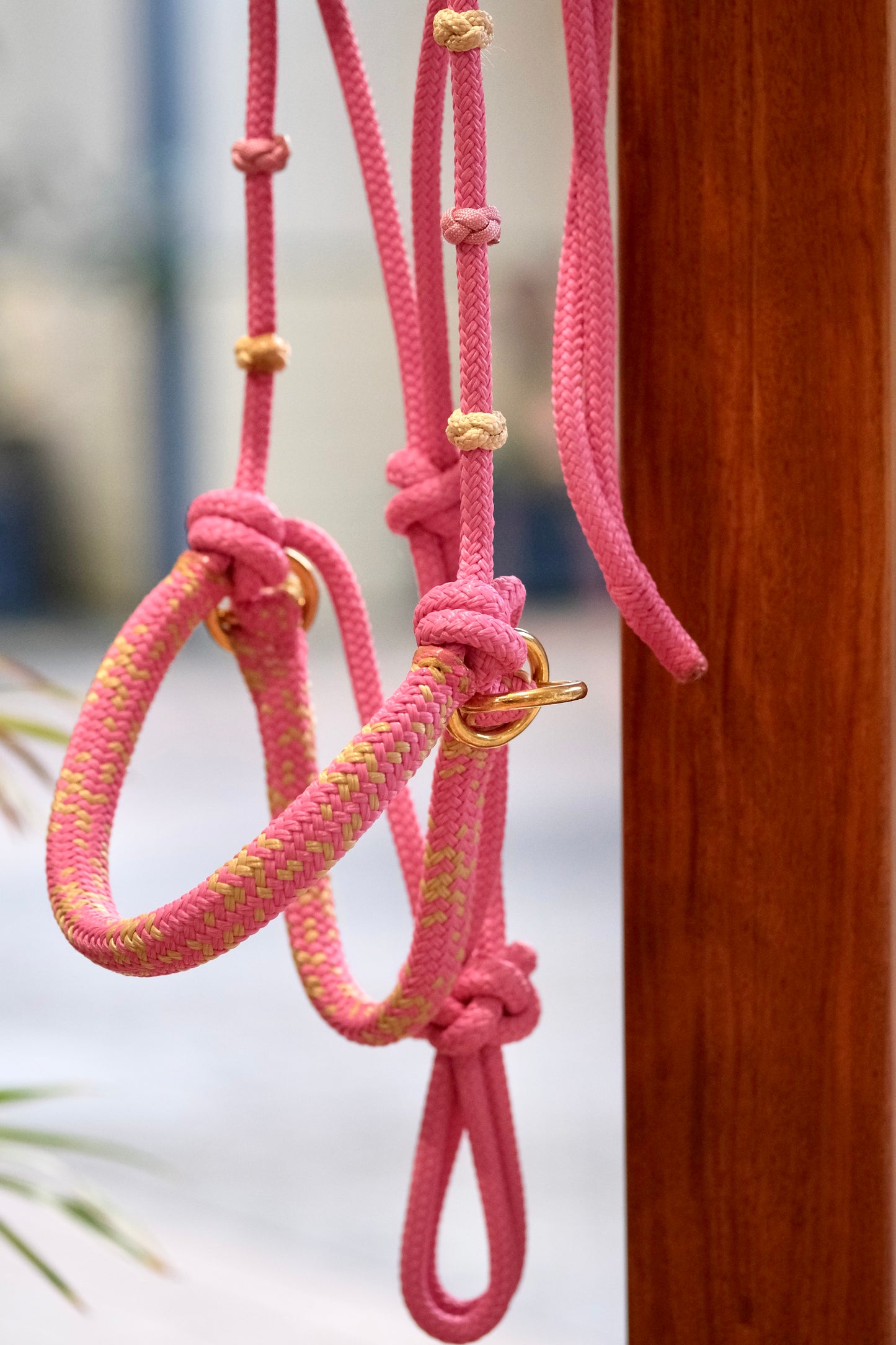 Justin Bitless Riding Rope Halter - with overlay