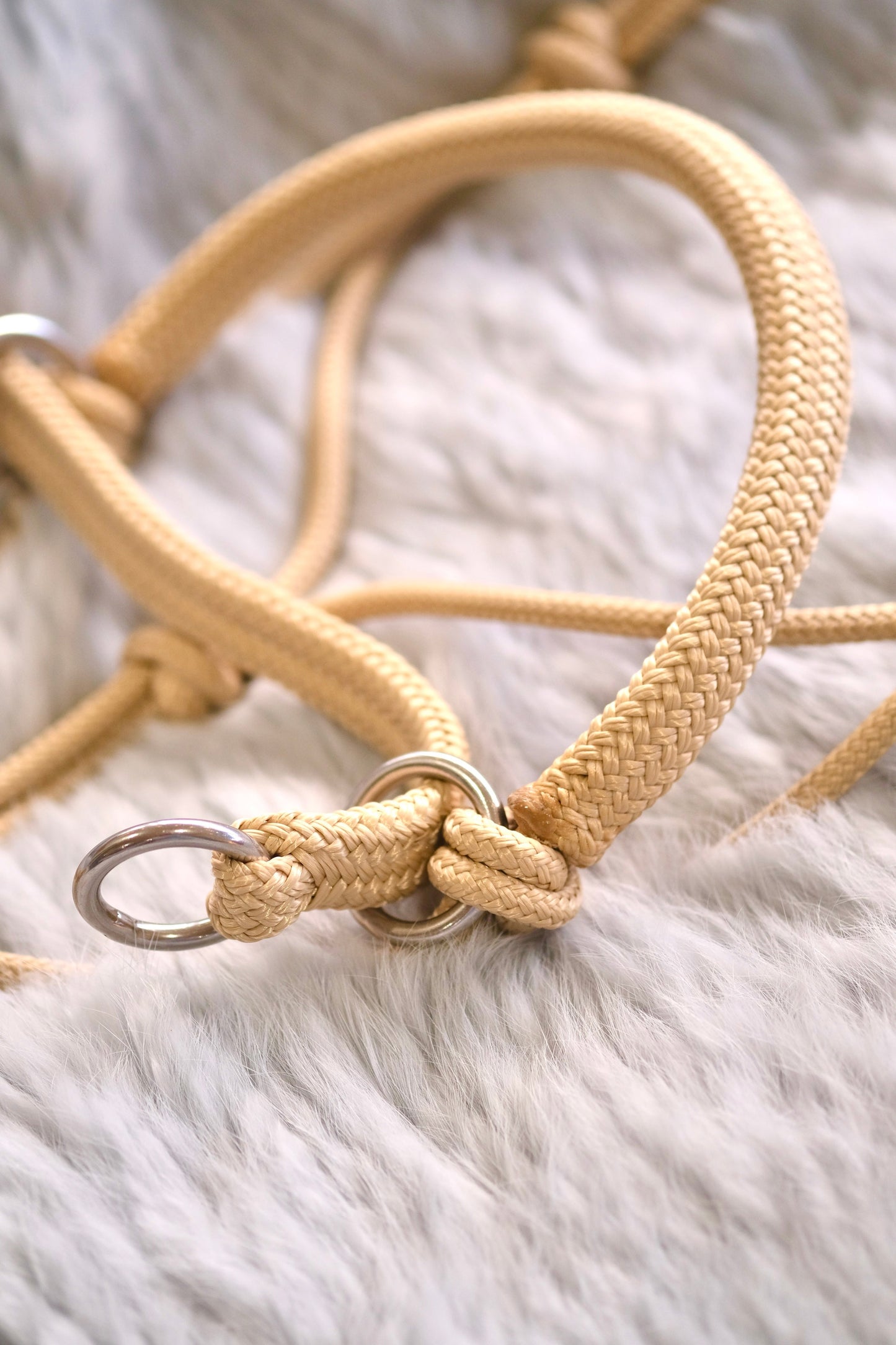 Justin HALO Bitless Riding Rope Halter - with overlay