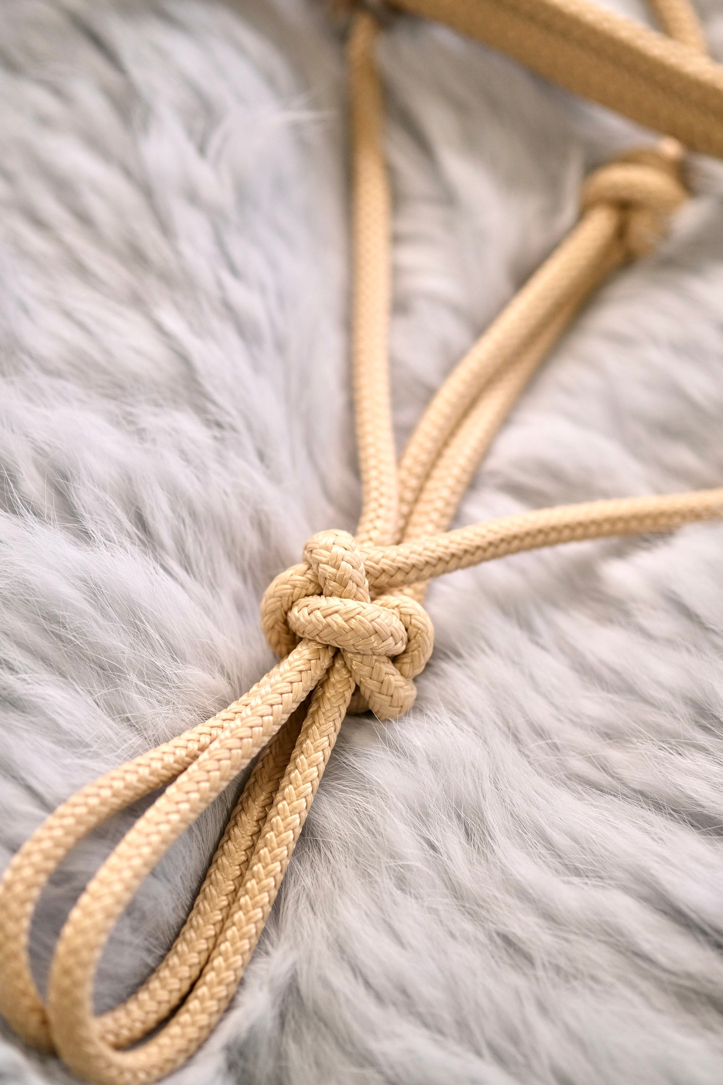 Justin Bitless Riding Rope Halter - with overlay