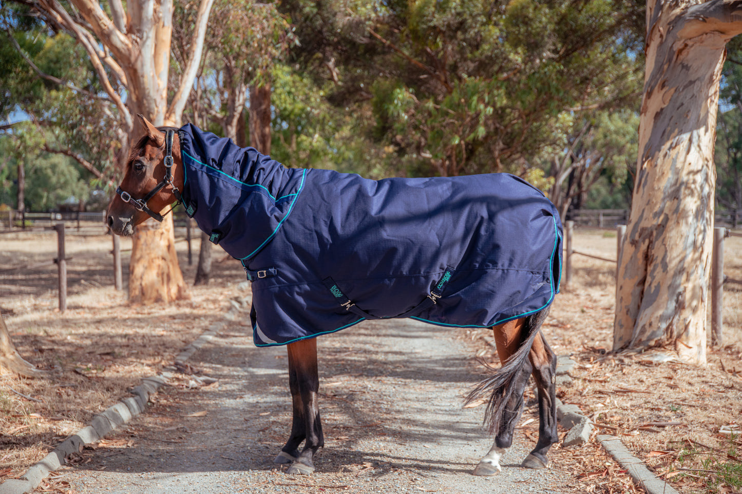 Combo Horse Rug - 250g - NAVY