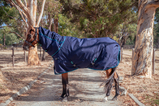 Combo Horse Rug - 250g - NAVY
