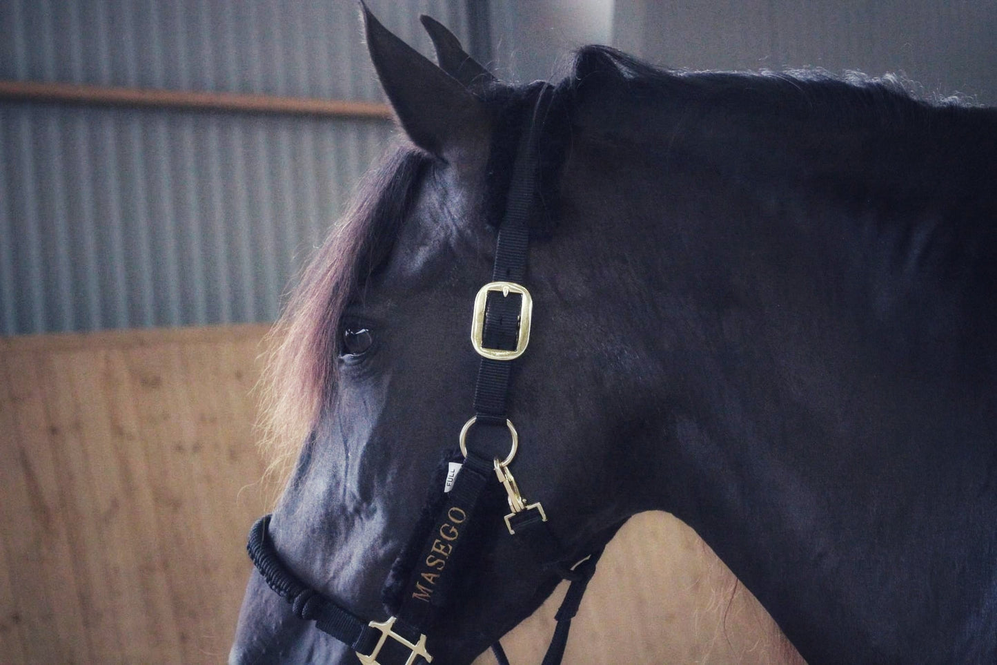 Ivy halter - black/black - MASEGO horsewear