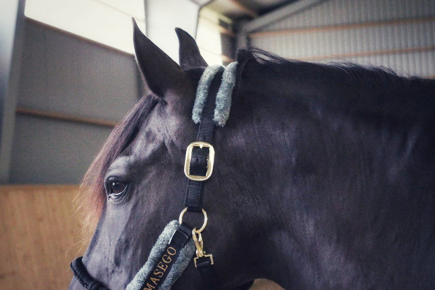 Ivy halter - black/grey - MASEGO horsewear