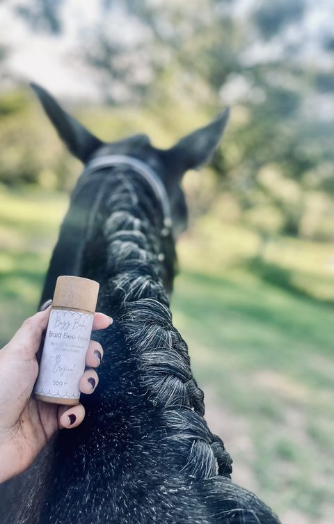 Braid Bee-Have freeshipping - Wild Rider