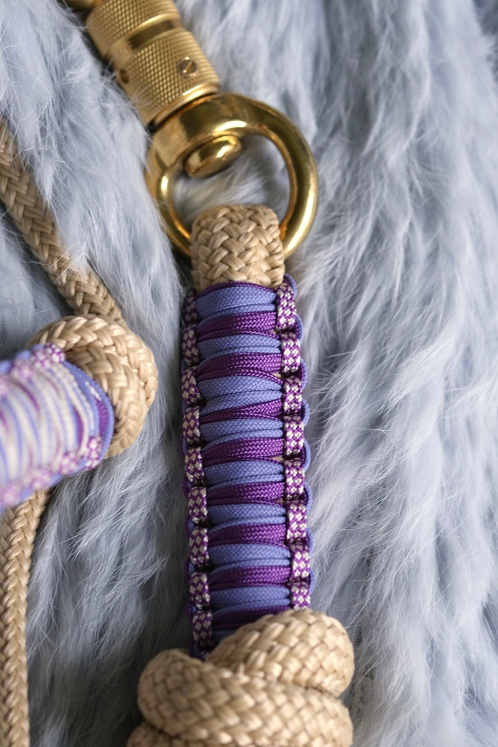 Frankie Halo Halter and Lead Set