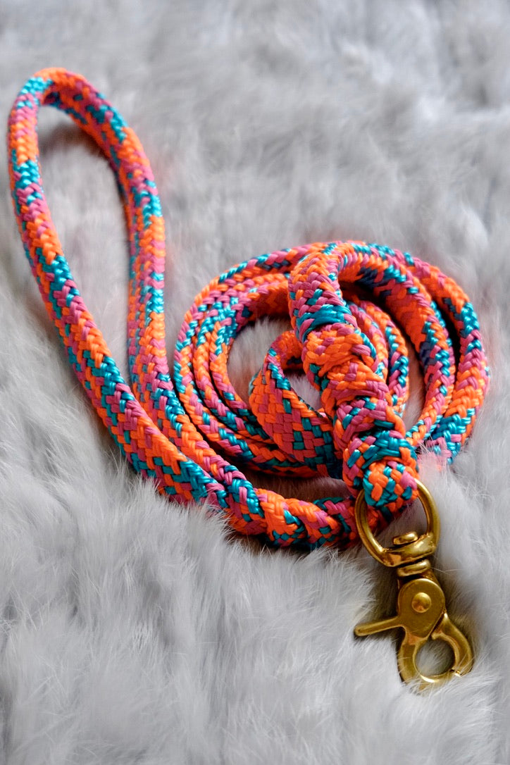 Flat Braid Dog Lead - CHAMELEON