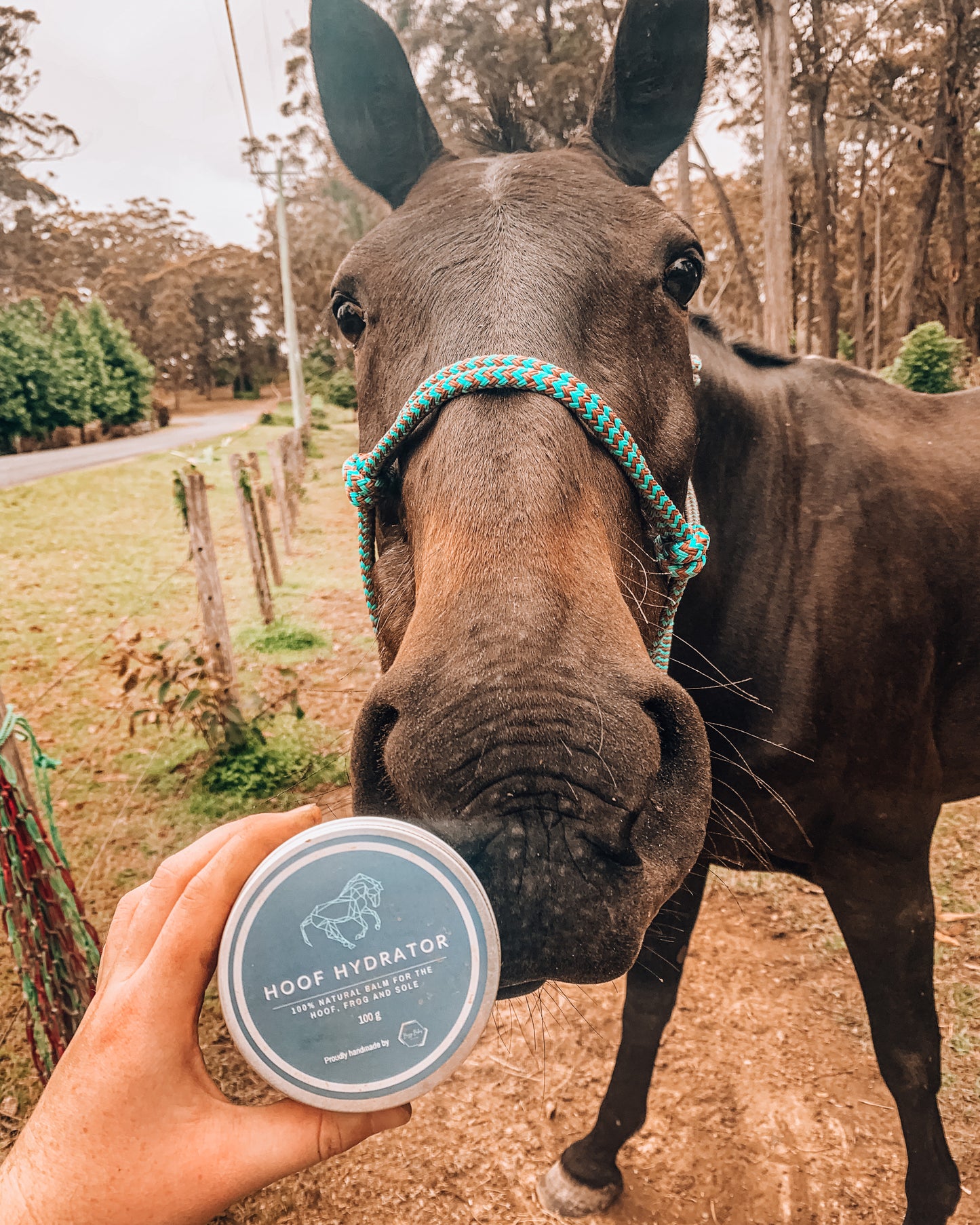 Hoof Hydrator freeshipping - Wild Rider
