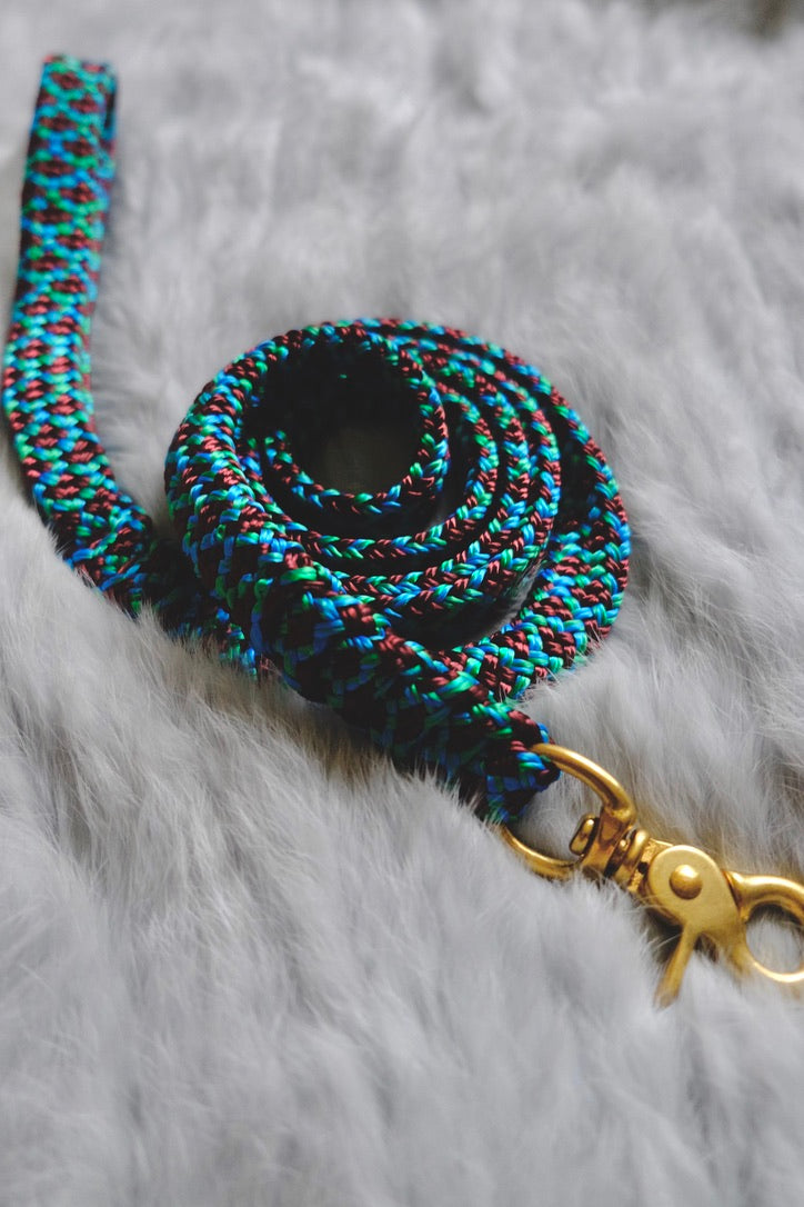 Flat Braid Dog Lead - PEACOCK