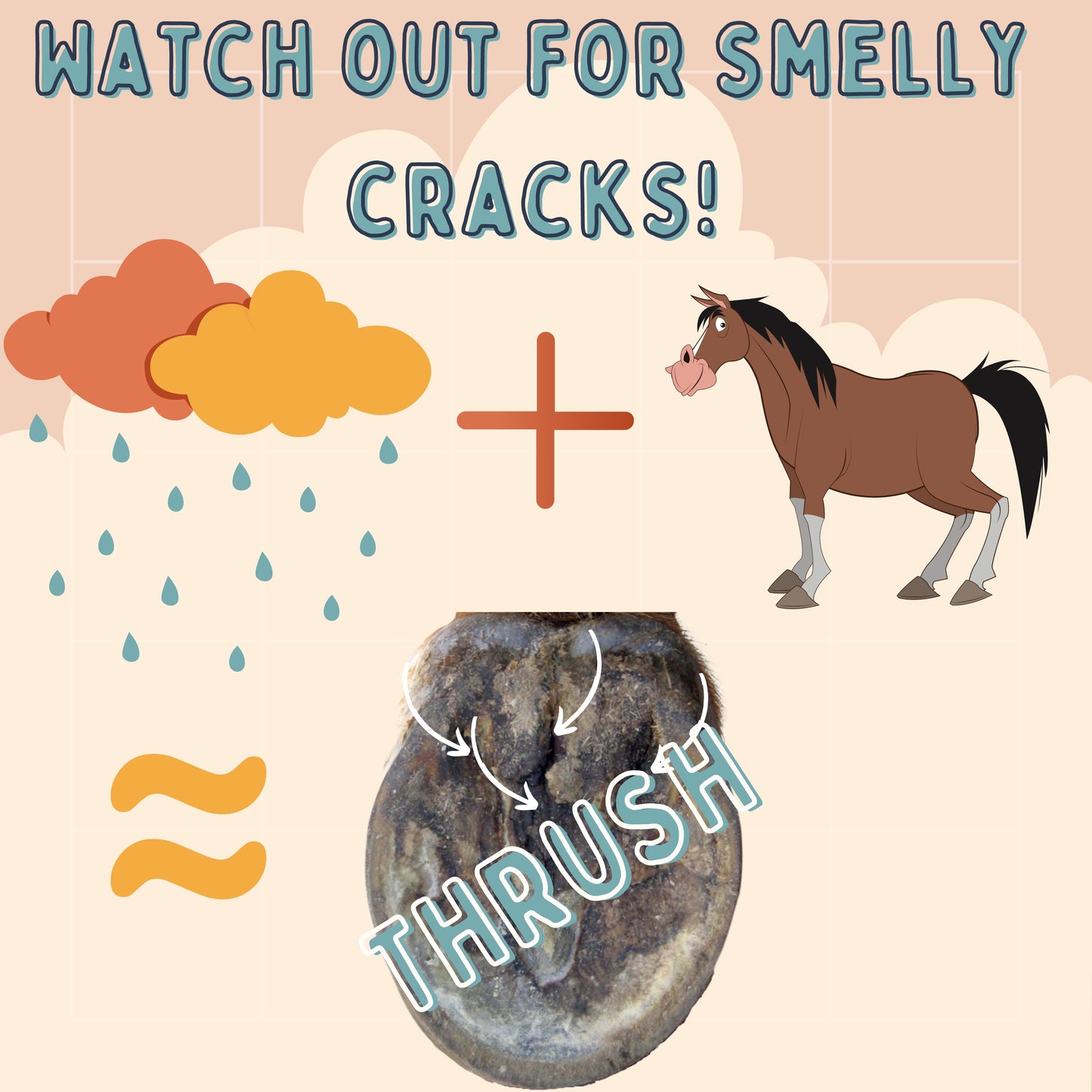 Hoof Pack - Thrush Relief and Protection freeshipping - Wild Rider