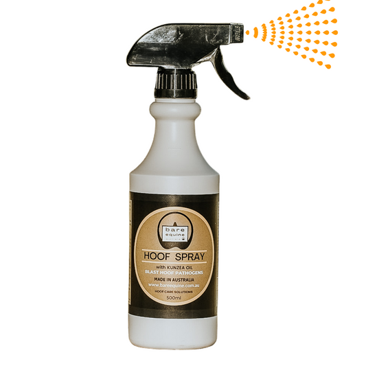 HOOF SPRAY - Blast Hoof Pathogens freeshipping - Wild Rider