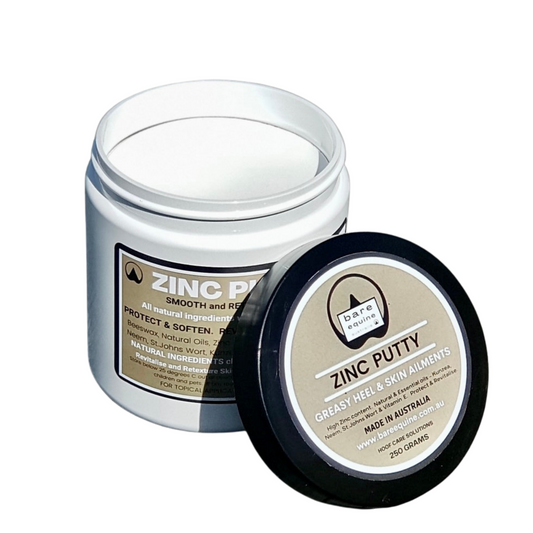 Zinc Putty - Greasy Heel and Skin Ailments freeshipping - Wild Rider