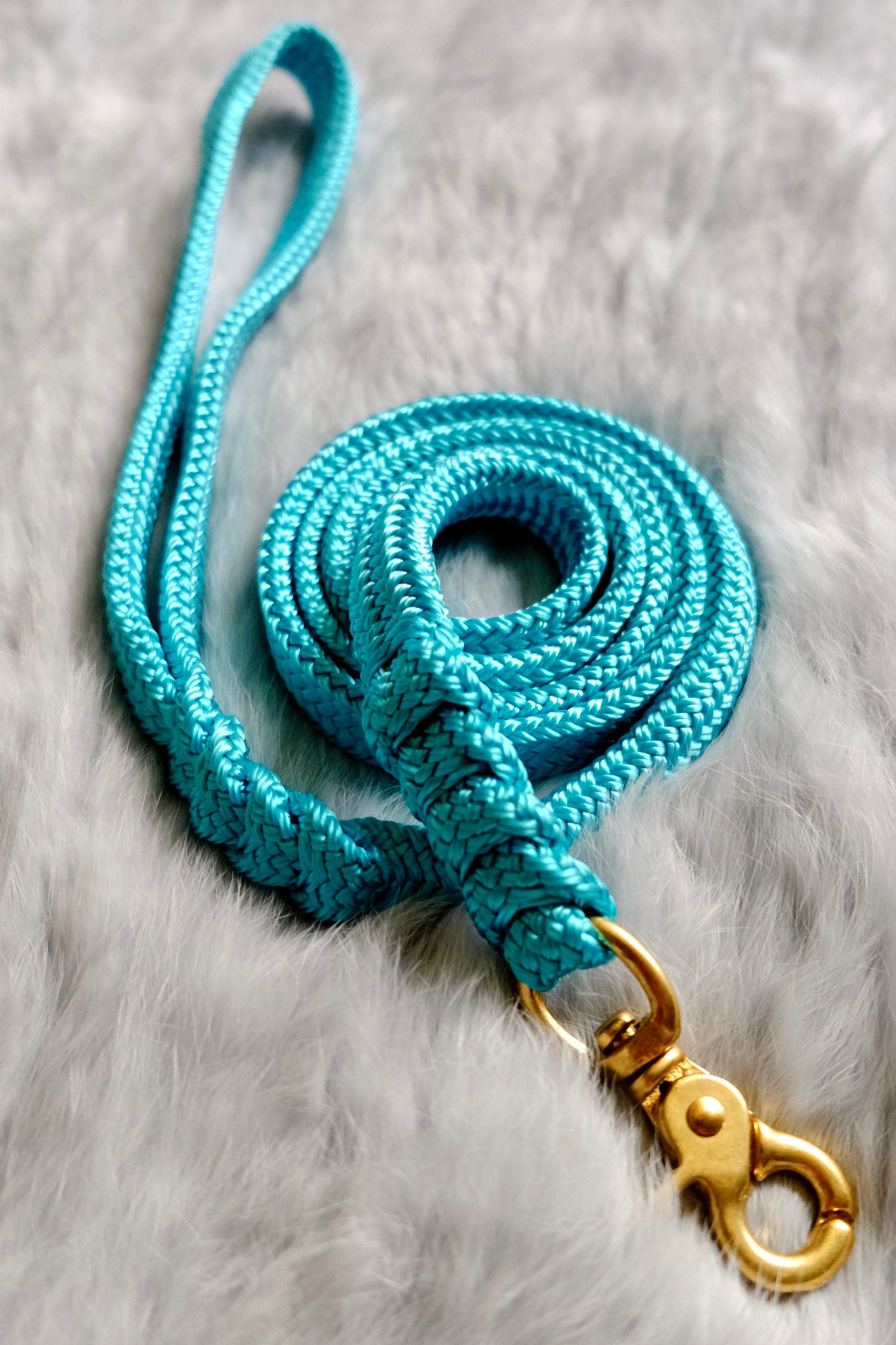 Flat Braid Dog Lead - LAGOON