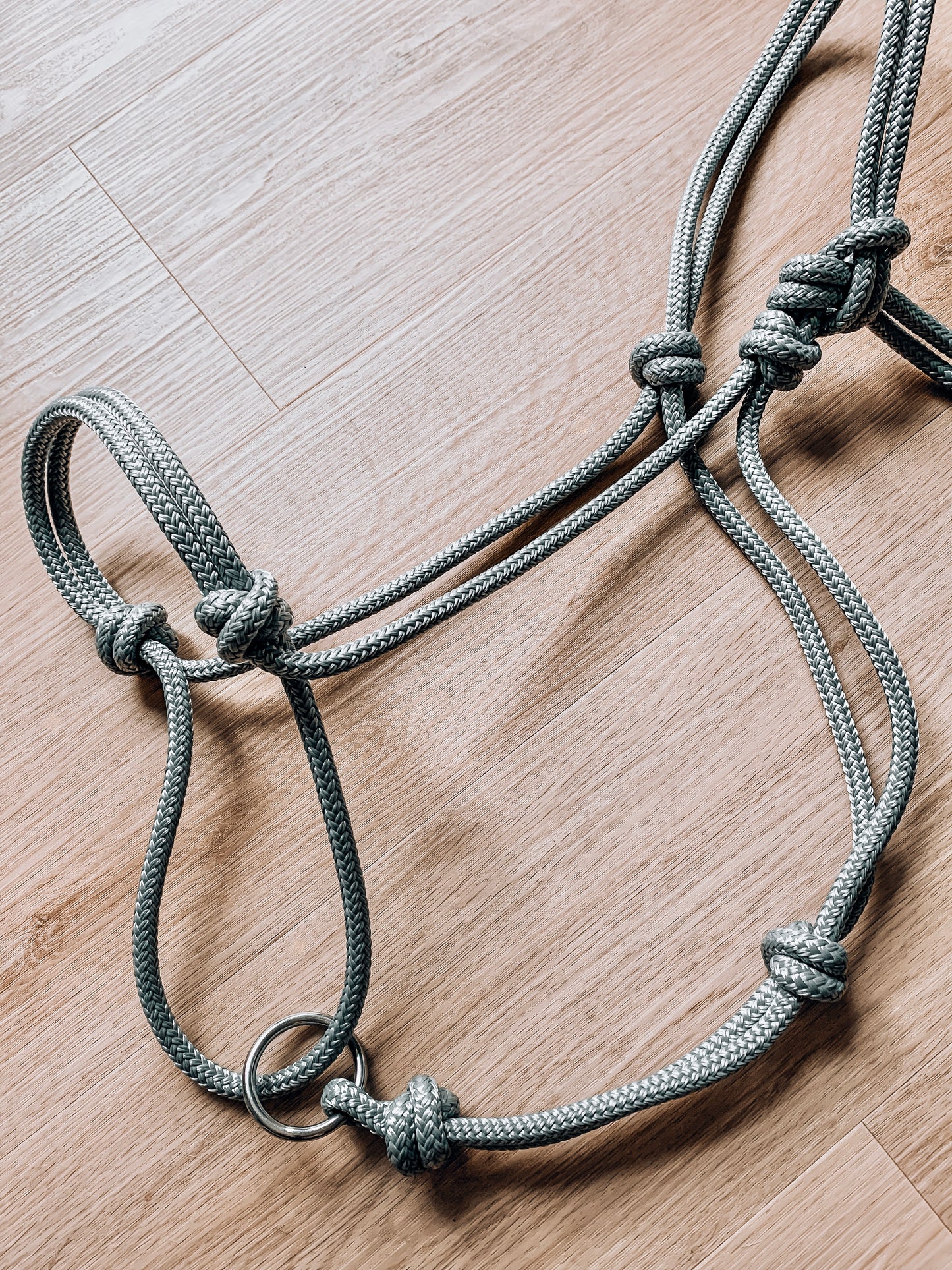 Halo Halter