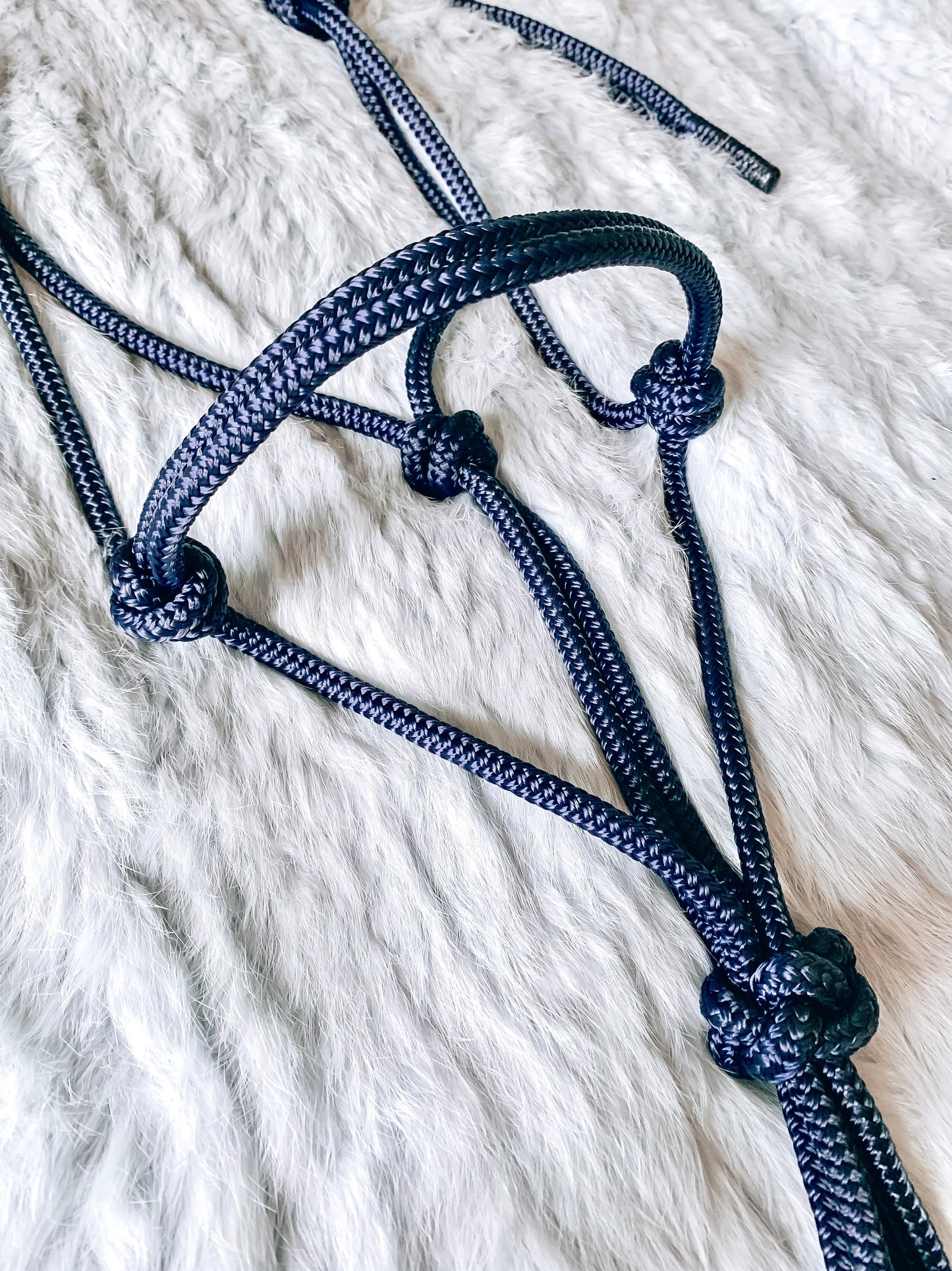 Standard Rope Halter