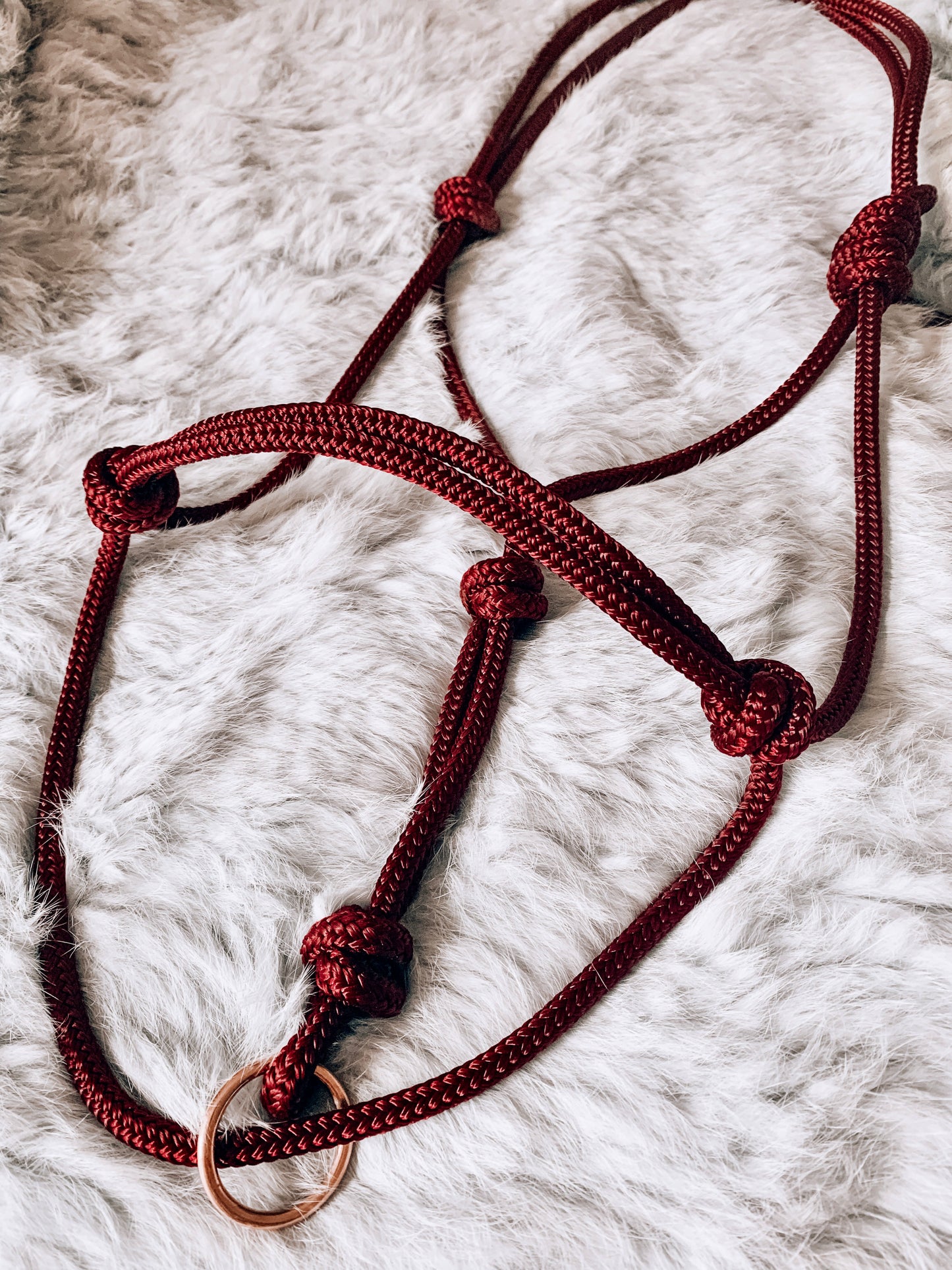 Halo Halter
